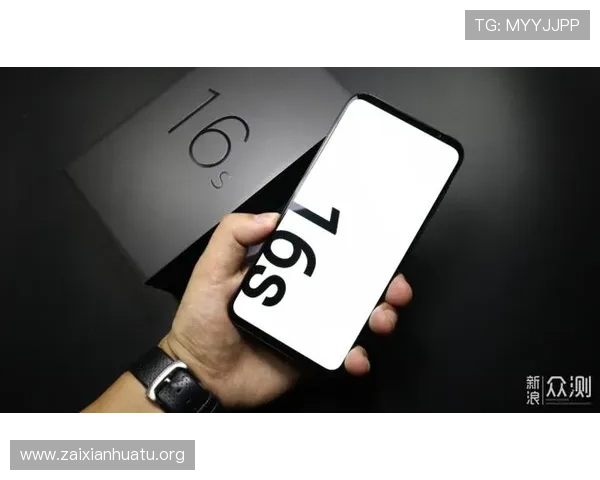 MK体育网站登录入口最新官方入口地址全面更新，帮助用户快速顺利登录体验极致体育赛事直播