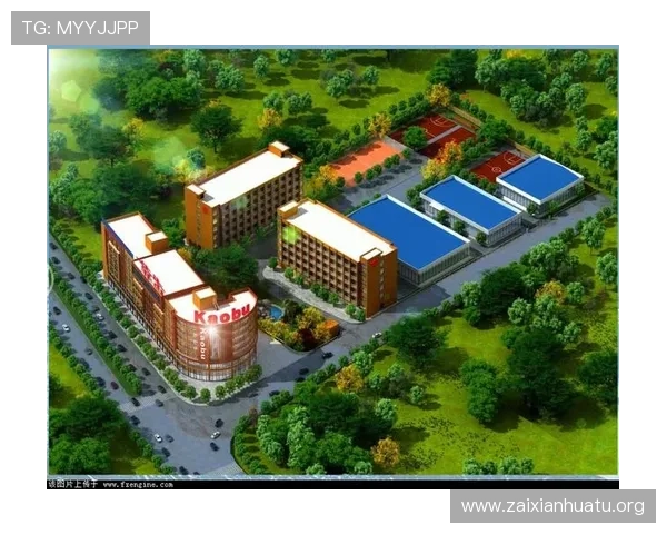 关于MK体育有限公司的全面介绍与发展历程分析