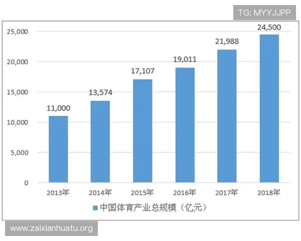 666体育在青少年体育培养中的作用与未来发展潜力分析