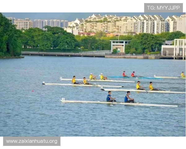 乐竞体育app登录入口常见问题及快速解决方法，确保顺畅体验体育赛事