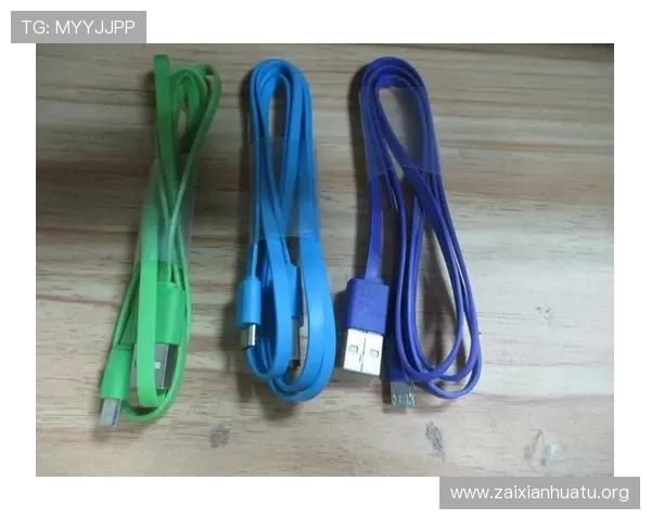 全面解析V8体育入口的多种登录方式及常见问题解决方案