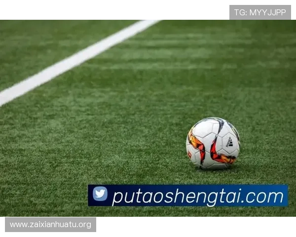 冠竞体育平台全面解析，助力运动爱好者实现专业竞技与娱乐休闲的完美结合